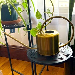 Gold Stainless Steel Watering Can